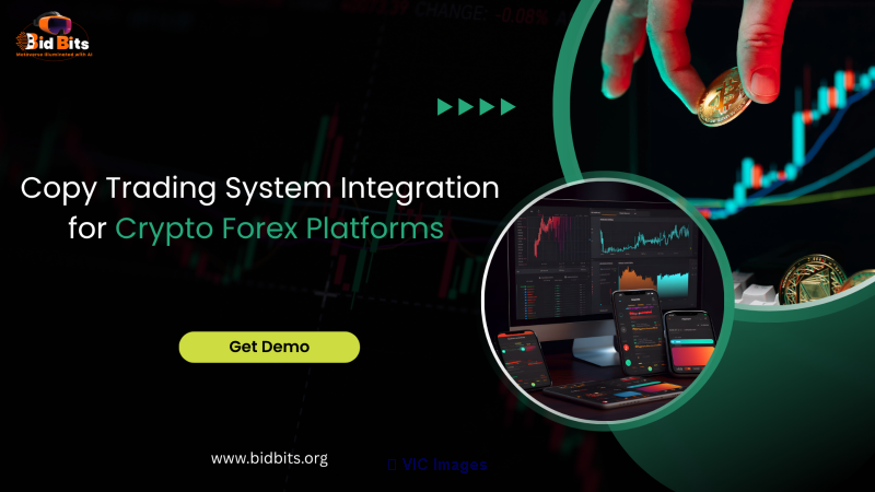 Copy Trading System Integration for Crypto Forex Platforms  - Photo 1